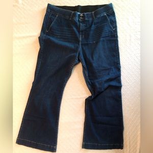 Lane Bryant Wide Leg Jeans